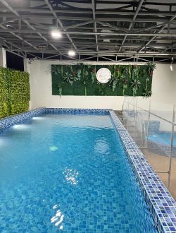 WhatsApp Image 2025-11-25 at 20.49.48